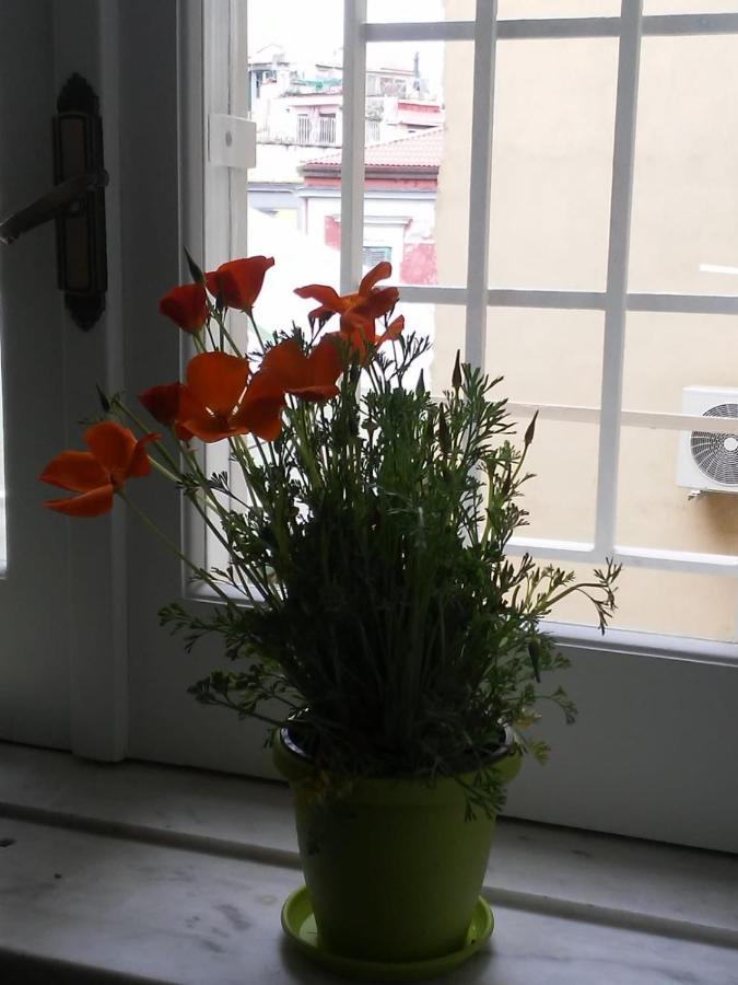 Ruck&maul Bed & Breakfast Naples